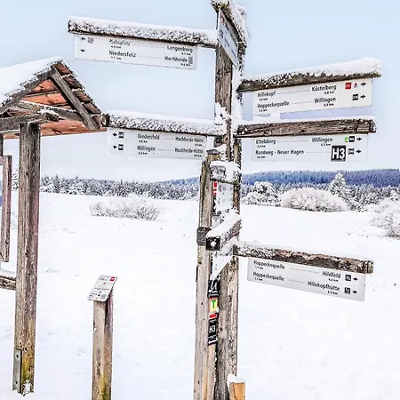 Ruhrtalblick By Interhome Lejlighed Winterberg
